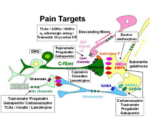 Antidepressant Can Cause Breast Cancer