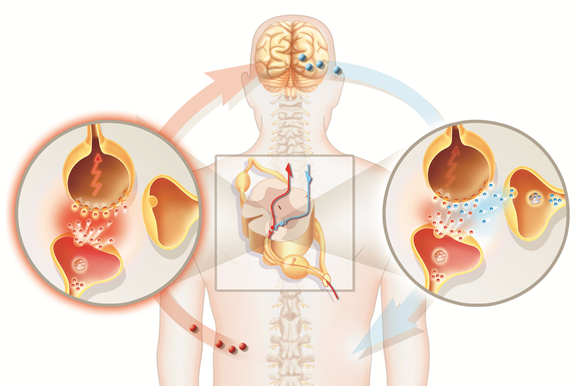 What is Neuropathic pain and medicines