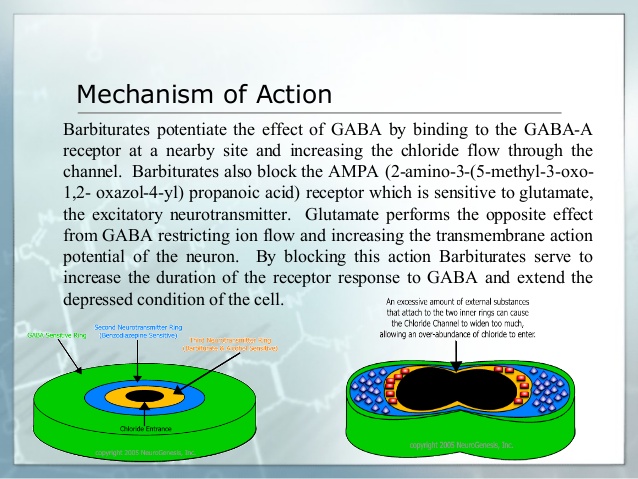 Butalbital Mechanism of Action