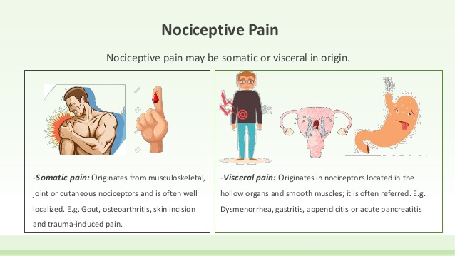 Nociceptive Pain