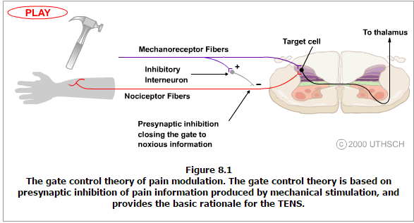 gatecontroltheory