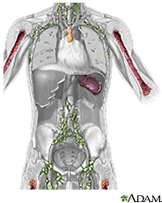 Illustration of the immune system