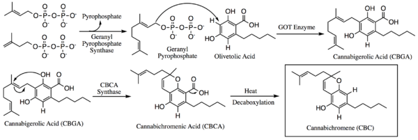 Cannabichromene