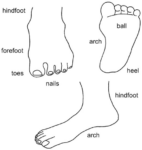 What is Foot Pain, and How Many Kinds of Foot Pain Are There ?