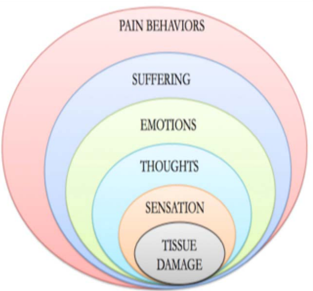 pain Behaviors