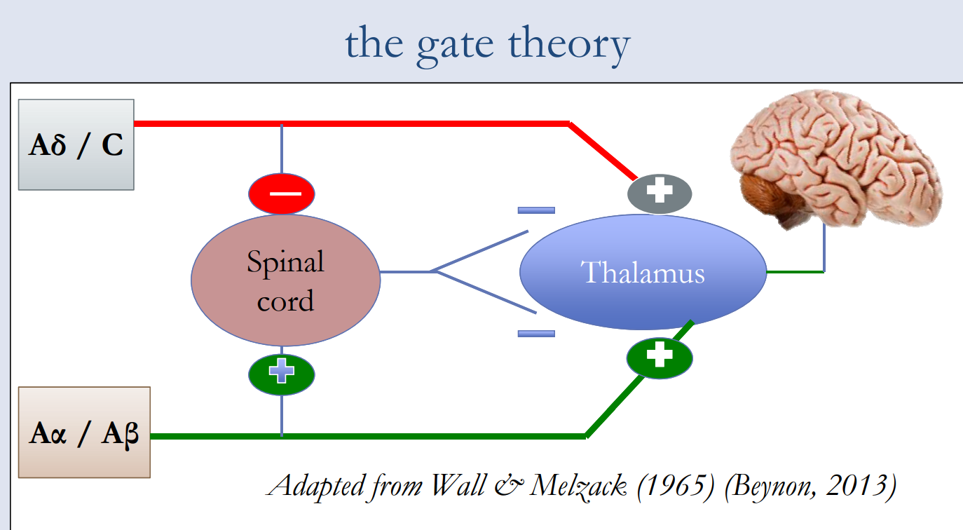 the Gate Theory