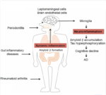 What is Systemic Inflammation?