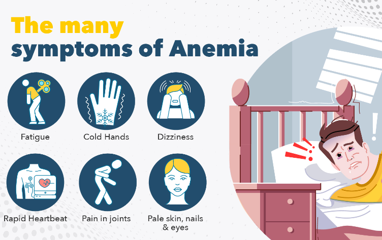 The Symptoms of Anemia